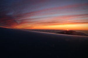 Flying Home