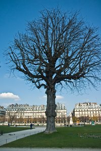 Paris, France