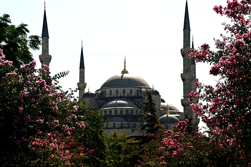 Blue Mosque