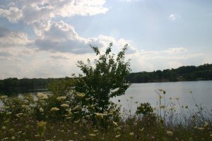 Lakeside
