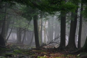 Eerie Evening