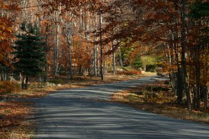 The Road Goes Ever On