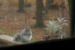Are We In for a Hard Winter?