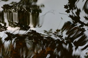 Reflections
