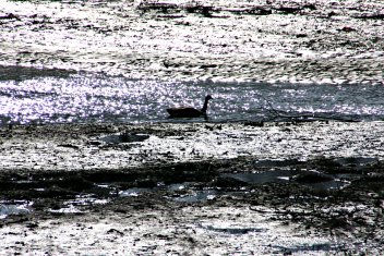 Reflections