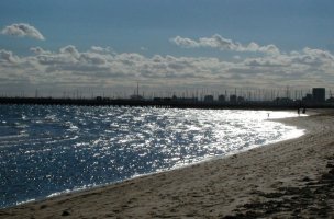 St. Kilda Beech