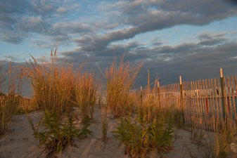 Cape May