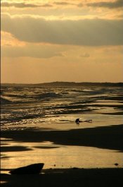 Kiawah Island