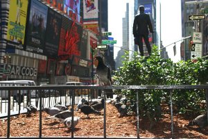 Times Square