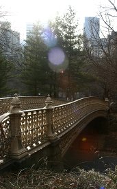 Walking in Central Park