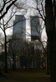 Walking in Central Park